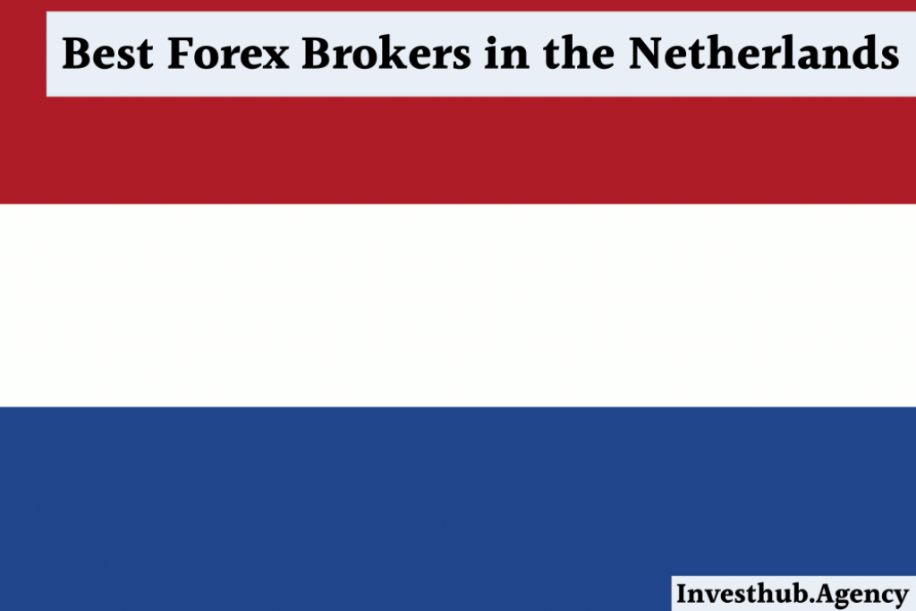 Best Forex Brokers in the Netherlands