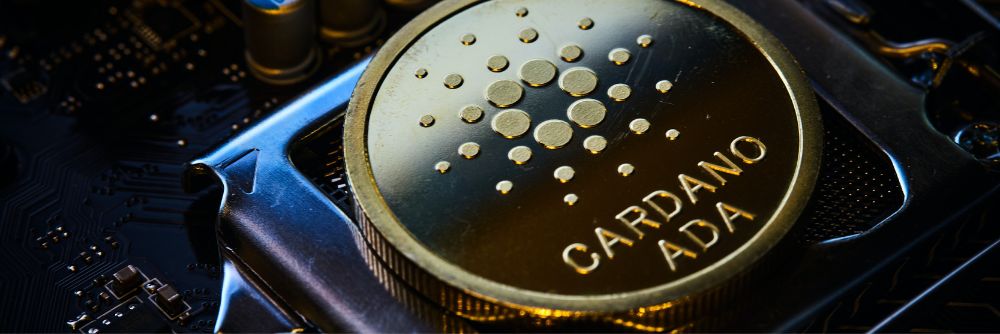 What is Cardano